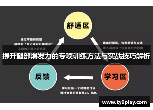 提升腿部爆发力的专项训练方法与实战技巧解析