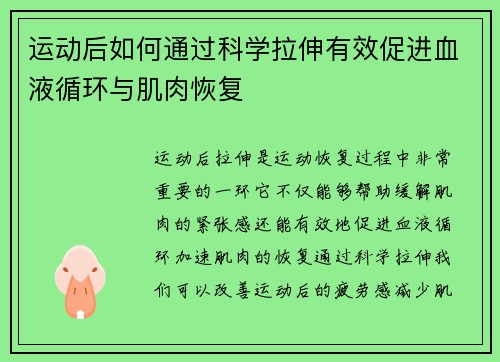 运动后如何通过科学拉伸有效促进血液循环与肌肉恢复