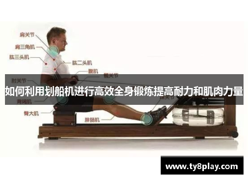 如何利用划船机进行高效全身锻炼提高耐力和肌肉力量